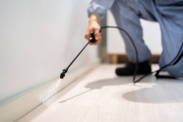 Licensed Termite Control service in North Corbin, KY - Nex Pest Control