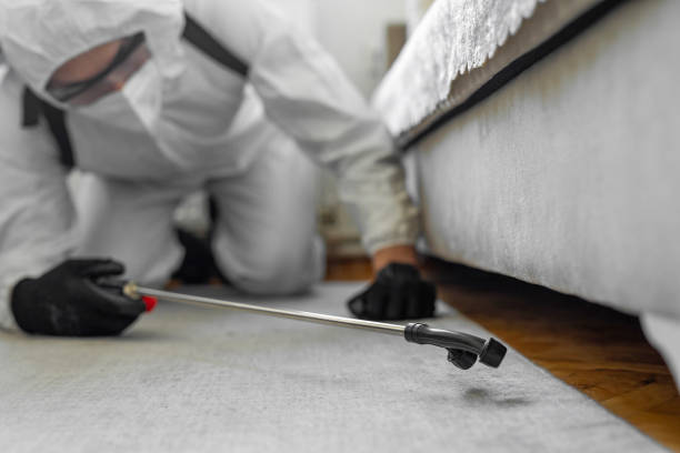 Professional Termite Control technician working in North Corbin, KY