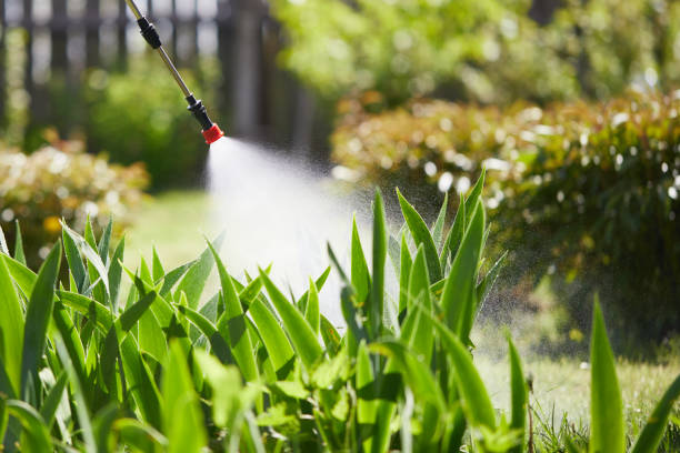 24/7 Emergency Termite Control experts in North Corbin, KY
