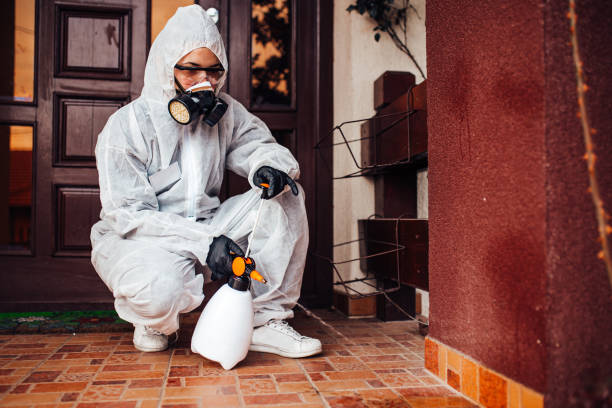 Reliable Termite Control contractor in North Corbin, KY by Nex Pest Control