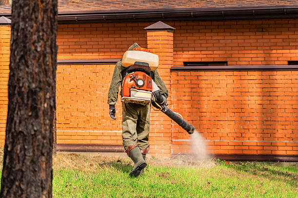 Top rated local Termite Control specialists in North Corbin, KY